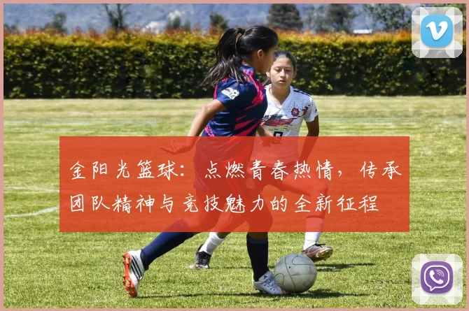 金阳光篮球：点燃青春热情，传承团队精神与竞技魅力的全新征程