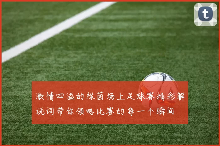 激情四溢的绿茵场上足球赛精彩解说词带你领略比赛的每一个瞬间