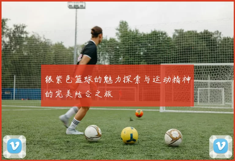银紫色篮球的魅力探索与运动精神的完美结合之旅