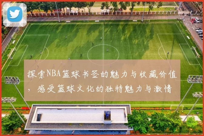 探索NBA篮球书签的魅力与收藏价值，感受篮球文化的独特魅力与激情