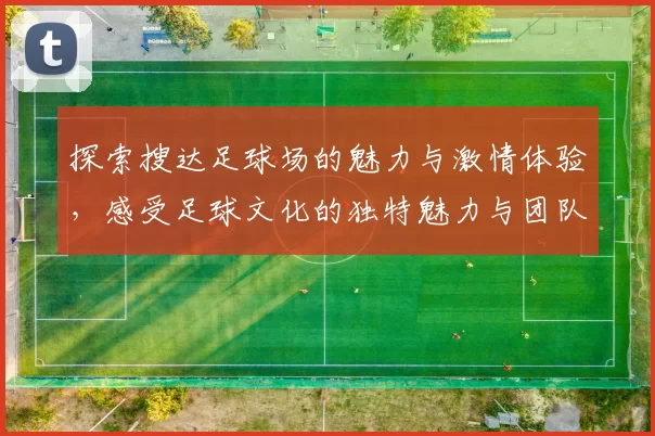 探索搜达足球场的魅力与激情体验，感受足球文化的独特魅力与团队精神