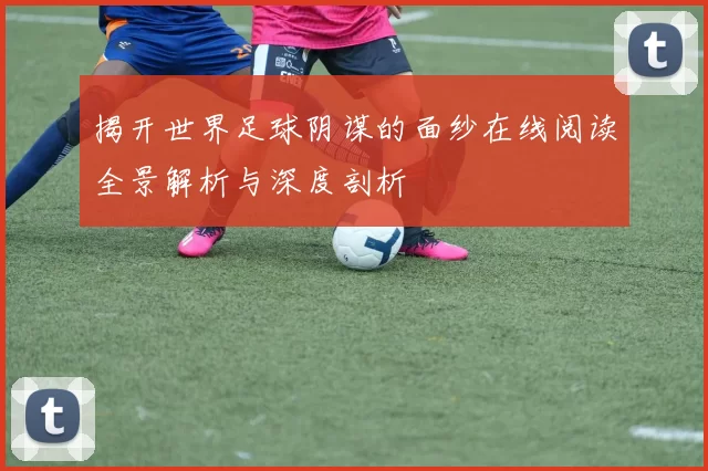 揭开世界足球阴谋的面纱在线阅读全景解析与深度剖析