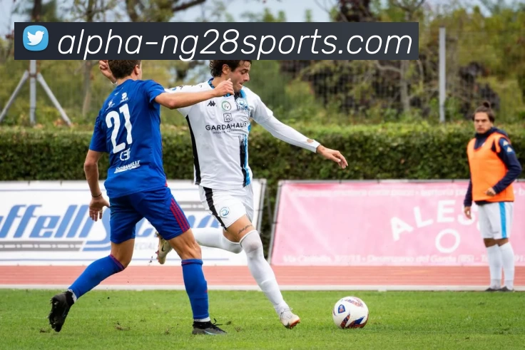 南宫28发展历程